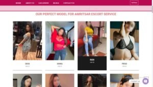 AmritsarEscortService